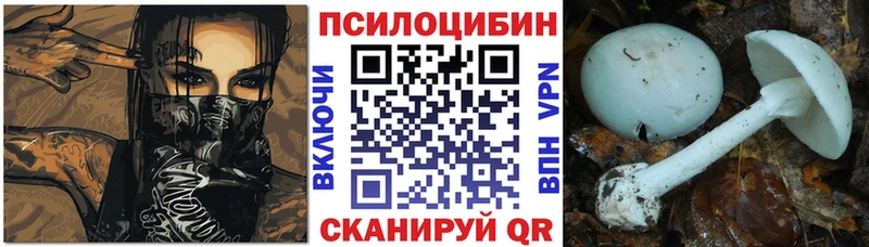 Купить  Заозёрный  Псилоцибиновые грибы GOLDEN TEACHER 