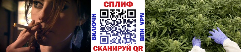 Шишки марихуана план  Купить  Заозёрный 